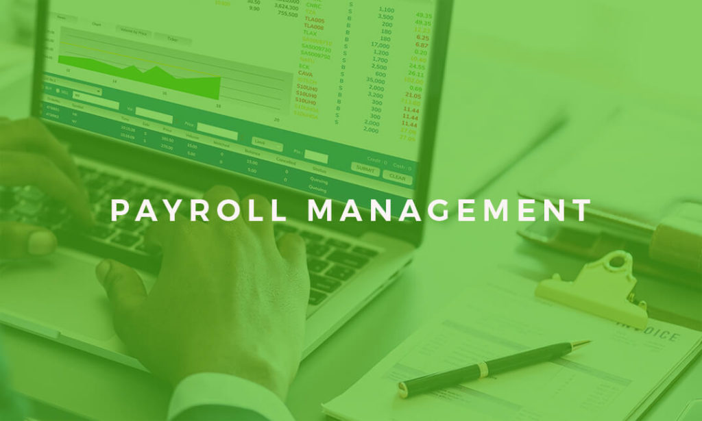 Payroll Management Course Alpha Academy