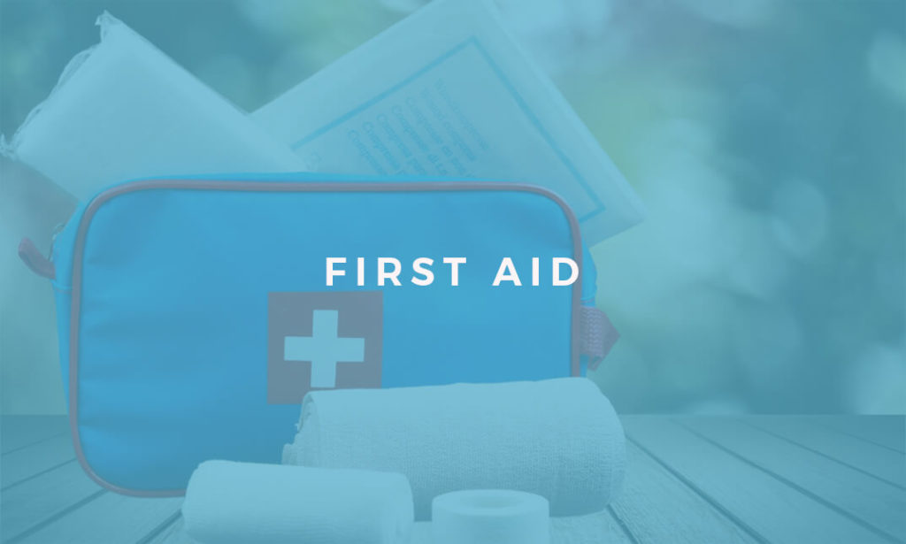 First Aid certificate Course Online- Alpha Academy