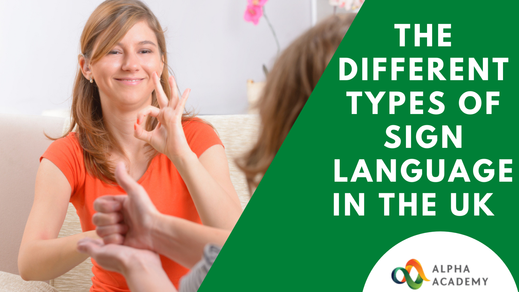 the-different-types-of-sign-language-in-the-uk-alpha-academy-blog